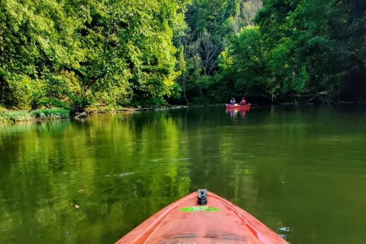 a boat floating along a river next to a body of water