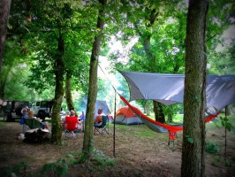 a group of people in a forest