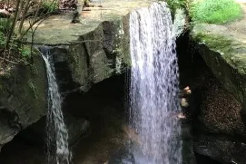 a large waterfall in a forest