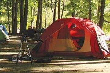 a tent in a forest